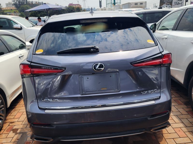 2019 Lexus NX pictures