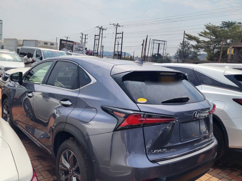 2019 Lexus NX pictures