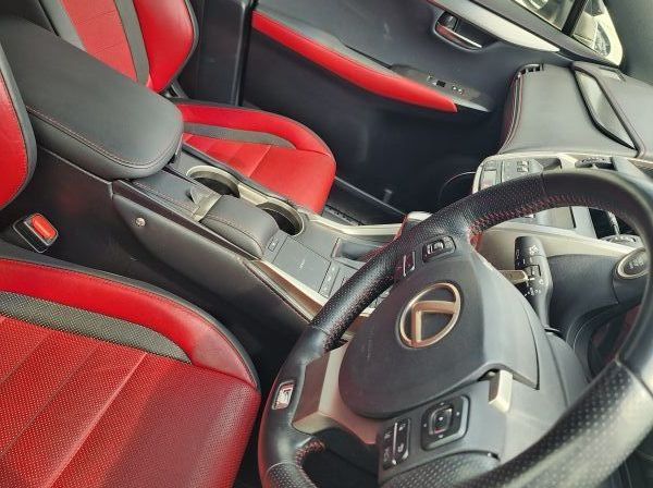 2019 Lexus NX pictures