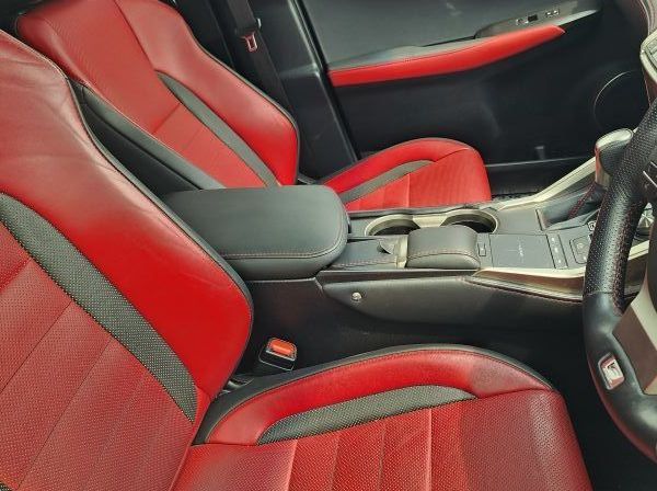 2019 Lexus NX pictures