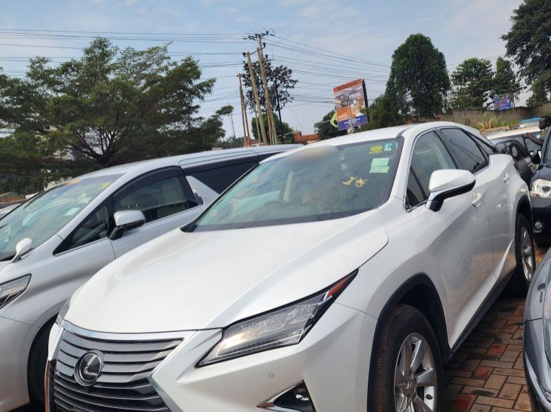 2019 Lexus RX pictures