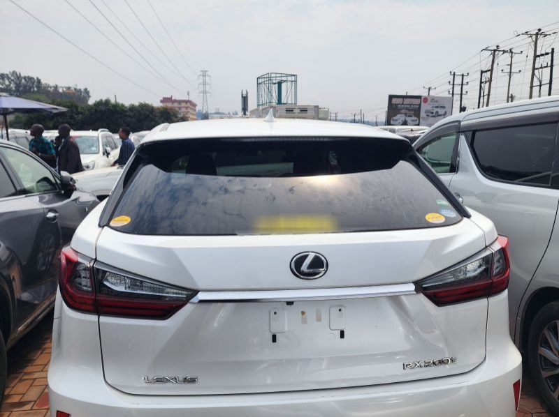 2019 Lexus RX pictures