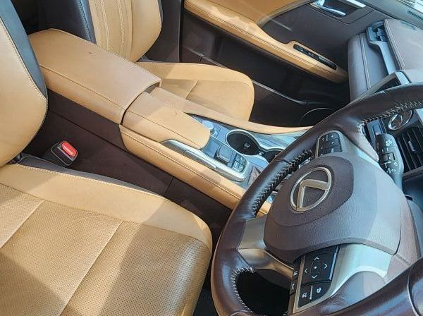 2019 Lexus RX pictures