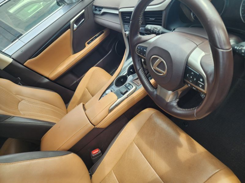 2019 Lexus RX pictures