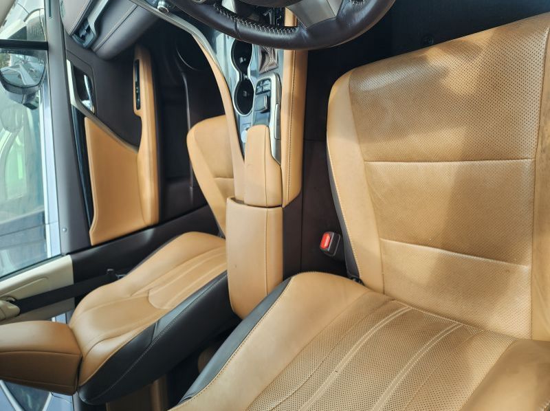 2019 Lexus RX pictures