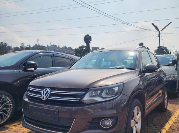2014 Volkswagen Tiguan pictures