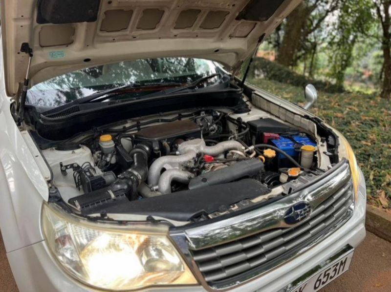 2008 Subaru forester pictures