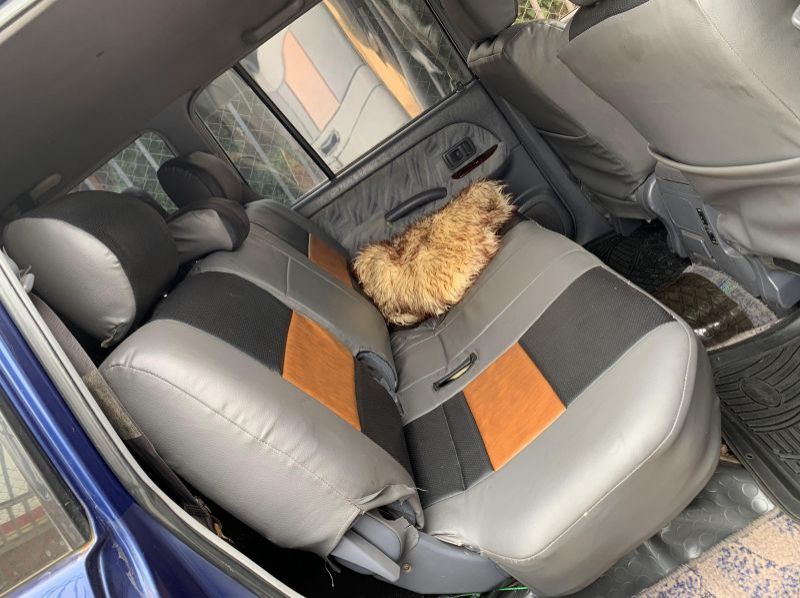 1998 Toyota prado tx pictures