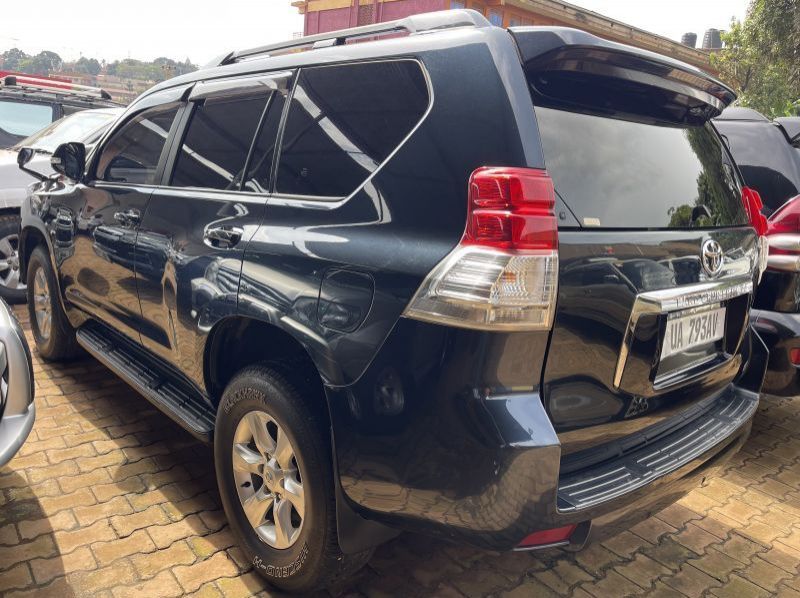 2010 Toyota Prado pictures