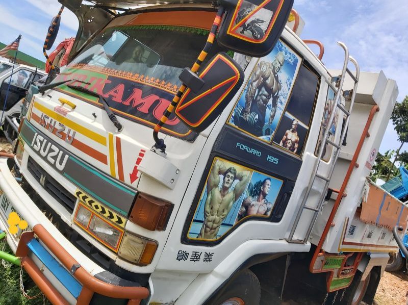 1993 Isuzu Juston pictures