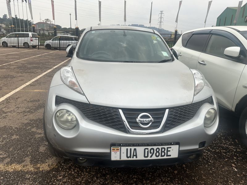 2011 Nissan JUKE photo