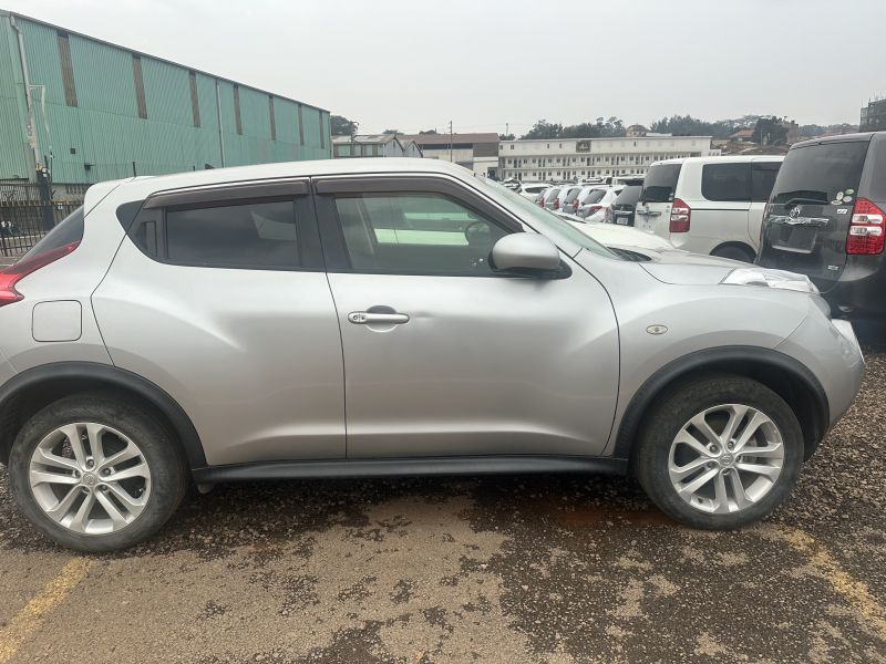 2011 Nissan JUKE photo