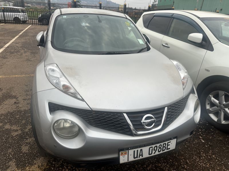2011 Nissan JUKE photo
