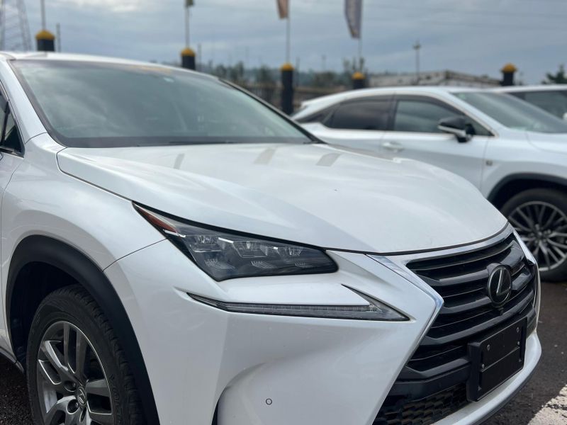 2016 Lexus NX200T photo