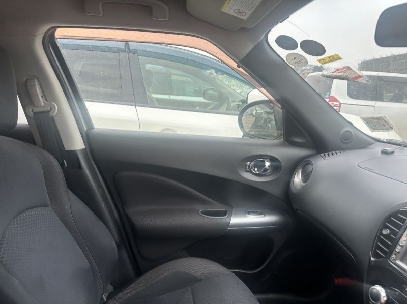 2011 Nissan JUKE pictures