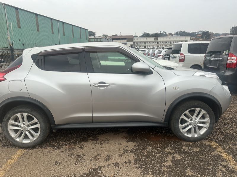 2011 Nissan JUKE pictures