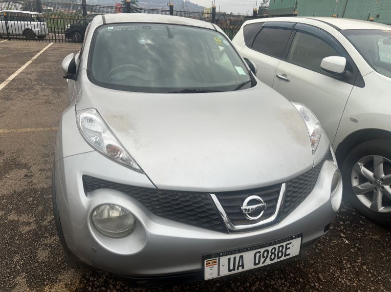 2011 Nissan JUKE pictures