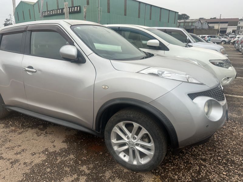 2011 Nissan JUKE pictures