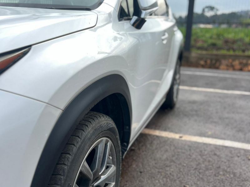 2016 Lexus NX200T pictures
