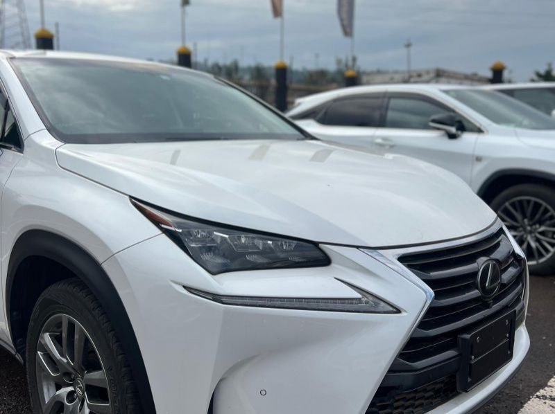 2016 Lexus NX200T pictures